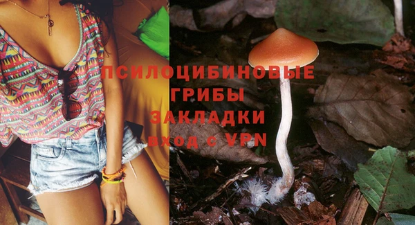 крисы Алексеевка