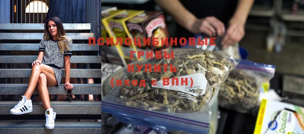 крисы Алексеевка
