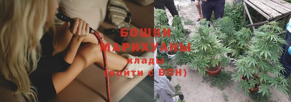 ПСИЛОЦИБИНОВЫЕ ГРИБЫ Алзамай