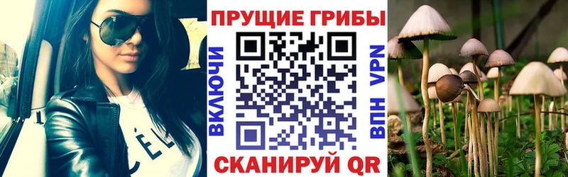 Галлюциногенные грибы мицелий  Завитинск 
